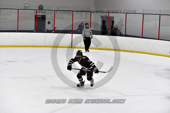 _GSP4794 (Copy)