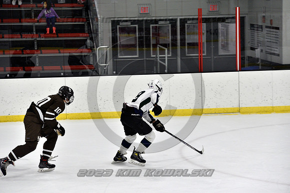 _GSP4866 (Copy)