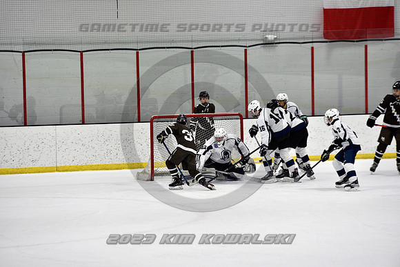 _GSP4907 (Copy)