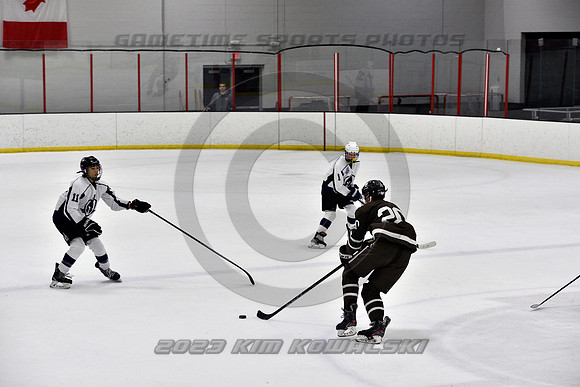 _GSP4917 (Copy)