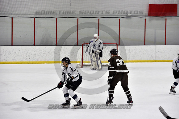 _GSP4919 (Copy)