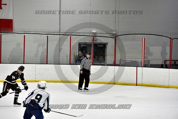 _GSP5113 (Copy)
