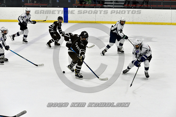 _GSP5119 (Copy)