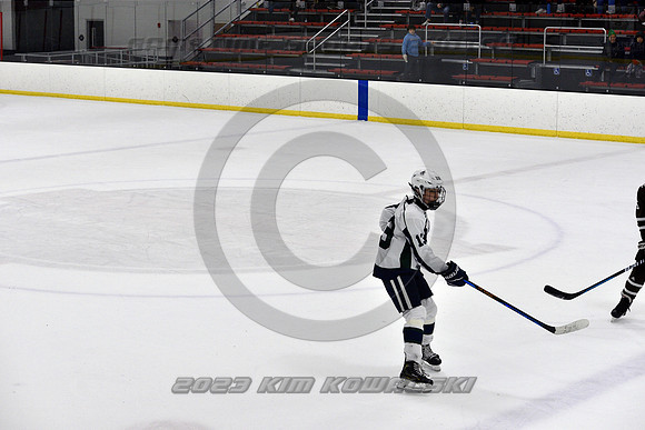 _GSP5195 (Copy)