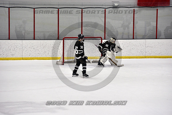 _GSP5295 (Copy)