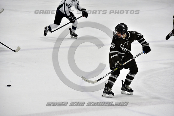 _GSP5299 (Copy)