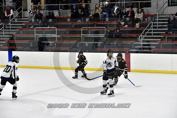_GSP5396 (Copy)