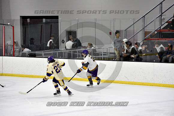 _GSP3877 (Copy)