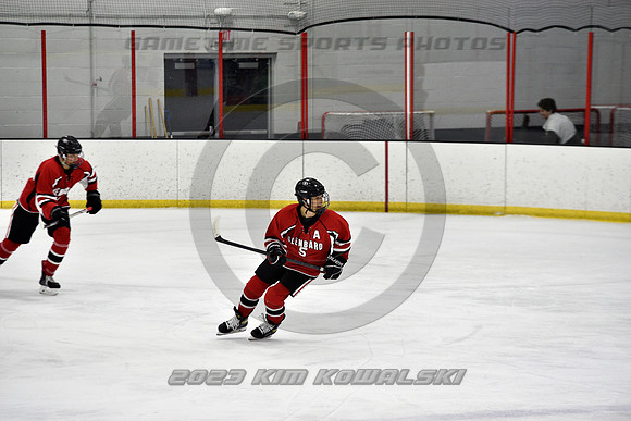 _GSP3879 (Copy)