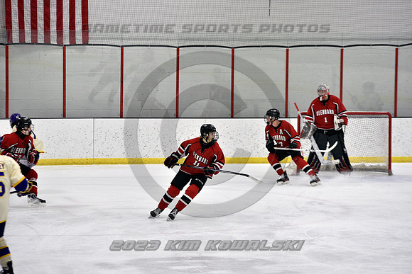 _GSP3849 (Copy)