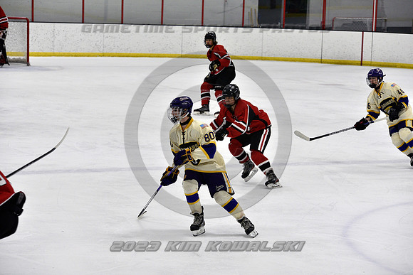 _GSP3938 (Copy)