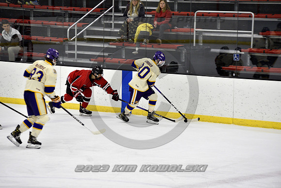 _GSP3941 (Copy)
