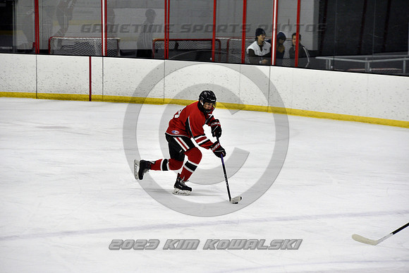 _GSP3944 (Copy)
