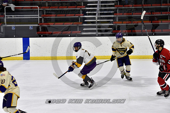 _GSP3895 (Copy)