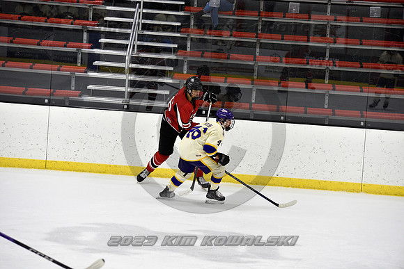 _GSP3953 (Copy)