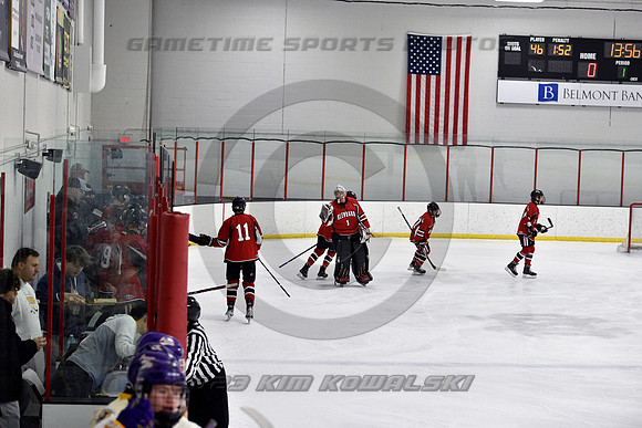 _GSP3819 (Copy)