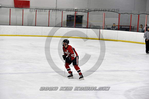 _GSP3862 (Copy)