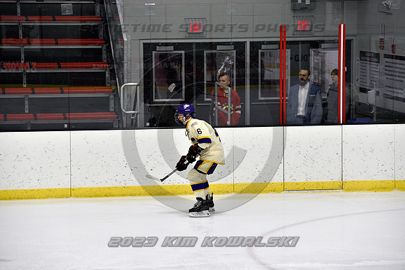_GSP3863 (Copy)
