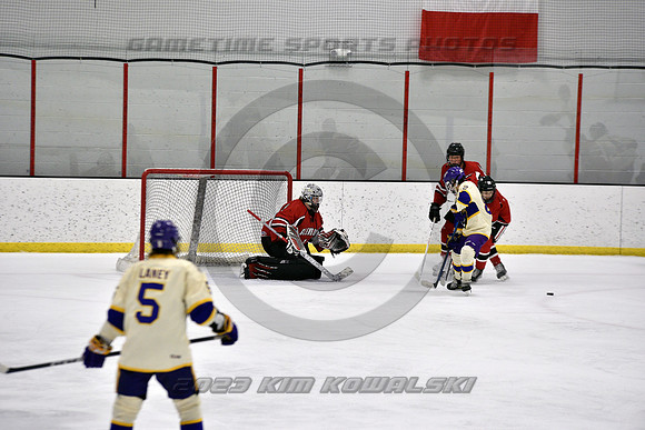 _GSP3913 (Copy)