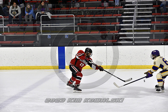 _GSP3823 (Copy)