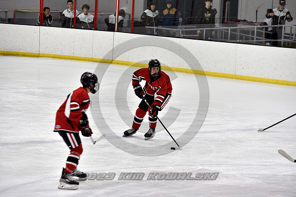 _GSP3794 (Copy)