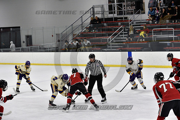 _GSP4101 (Copy)