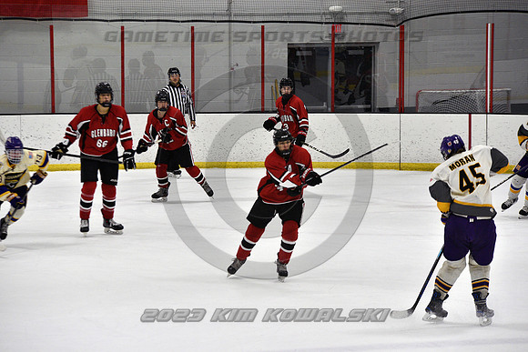 _GSP4338 (Copy)