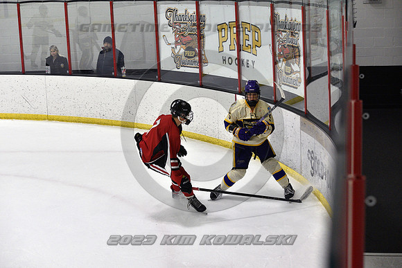 _GSP4291 (Copy)