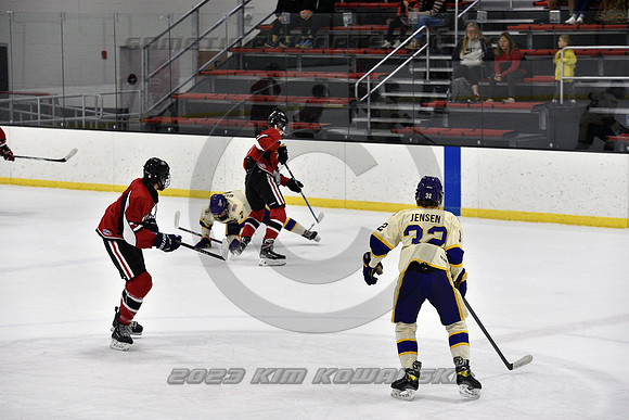 _GSP4317 (Copy)