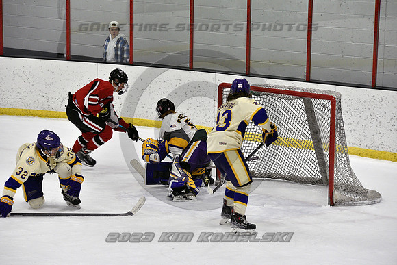 _GSP4319 (Copy)