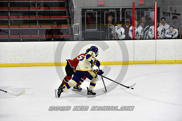 _GSP4298 (Copy)
