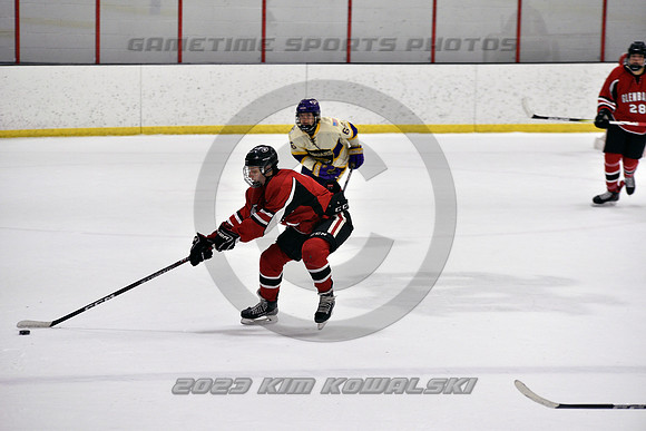 _GSP4324 (Copy)