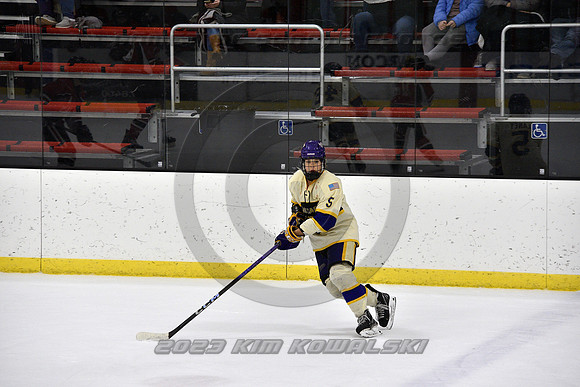 _GSP4273 (Copy)
