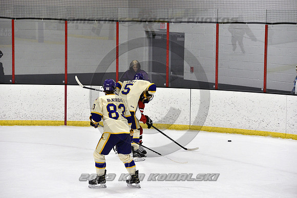 _GSP4299 (Copy)