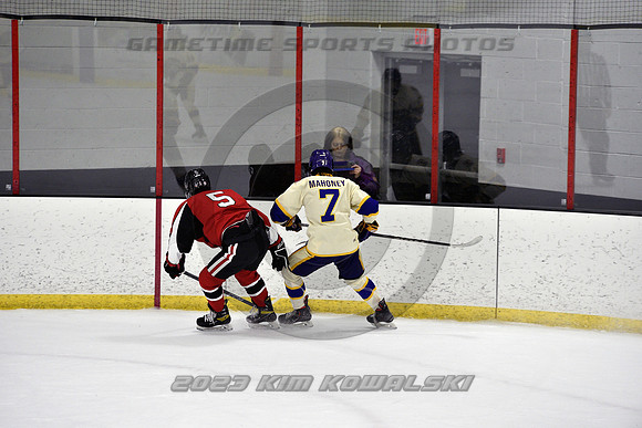 _GSP4274 (Copy)