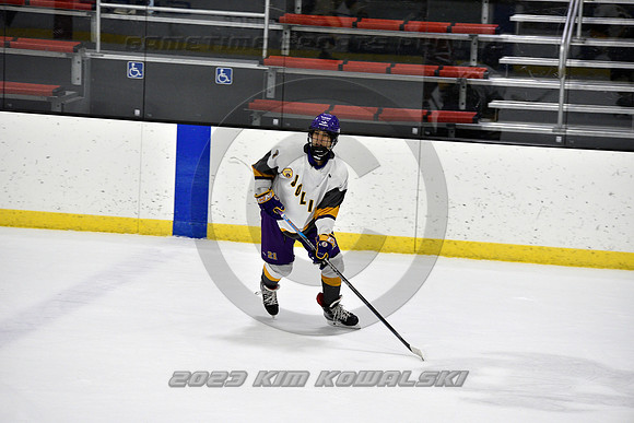 _GSP4378 (Copy)