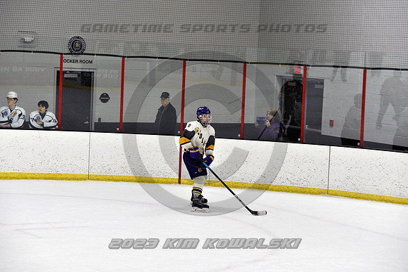 _GSP4386 (Copy)