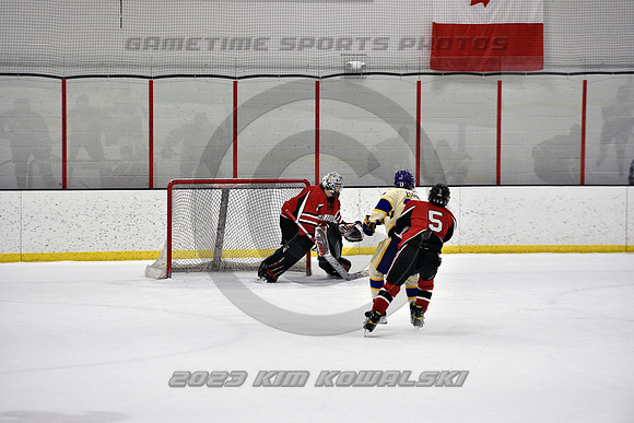 _GSP4335 (Copy)