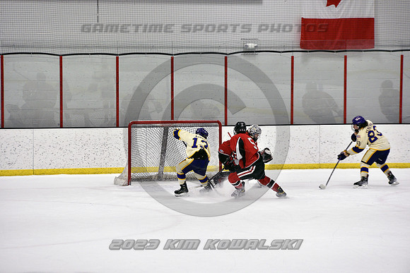 _GSP4336 (Copy)