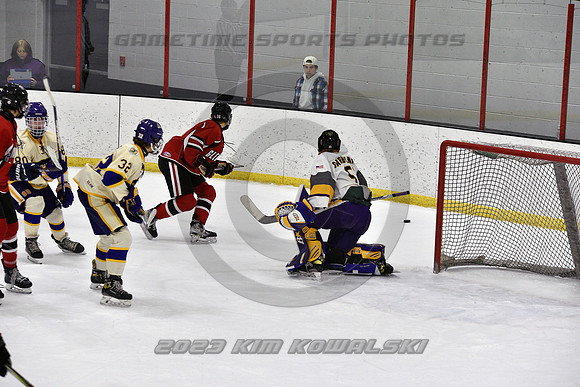 _GSP4311 (Copy)