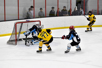 PREP Thanksgiving Showcase Nov 29-Dec 1 2024