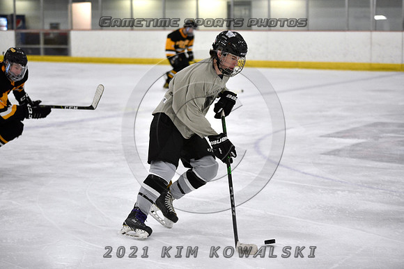 _GSP3874 (Copy)
