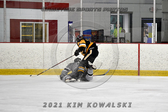 _GSP3885 (Copy)