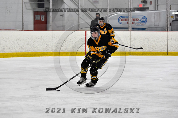 _GSP3918 (Copy)