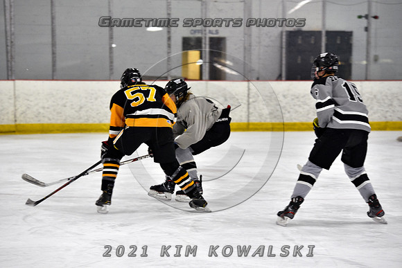 _GSP3924 (Copy)