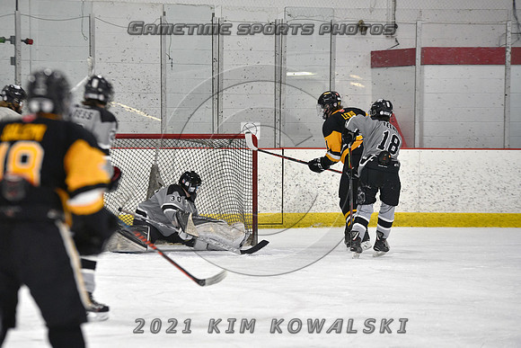 _GSP4039 (Copy)