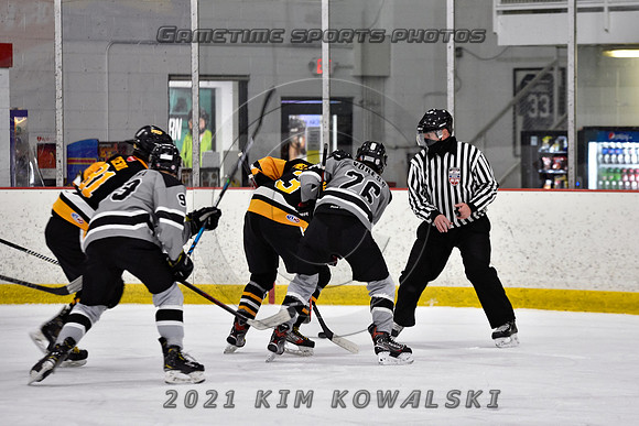 _GSP4223 (Copy)