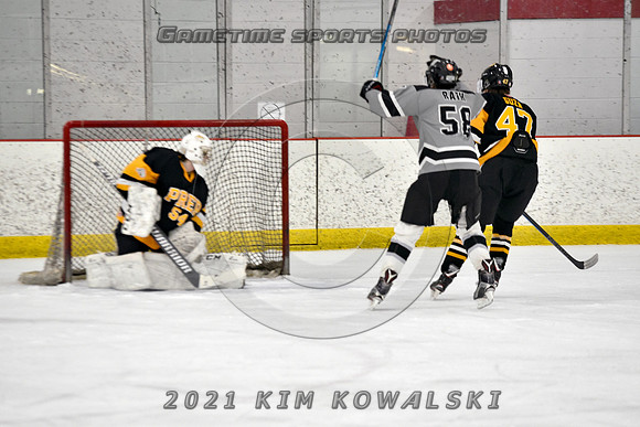 _GSP4278 (Copy)