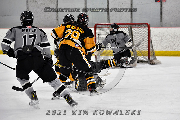 _GSP4298 (Copy)