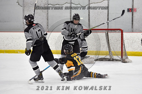_GSP4299 (Copy)